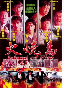 火烧岛  (1991)